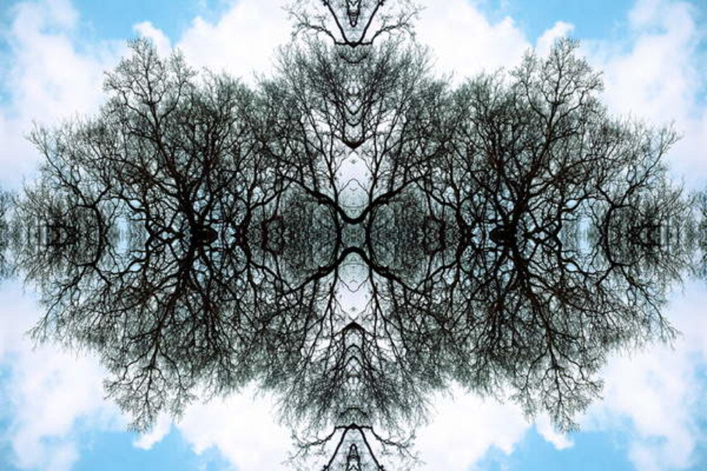 Detail of Unnatural 100 by Giovanni Cafagna