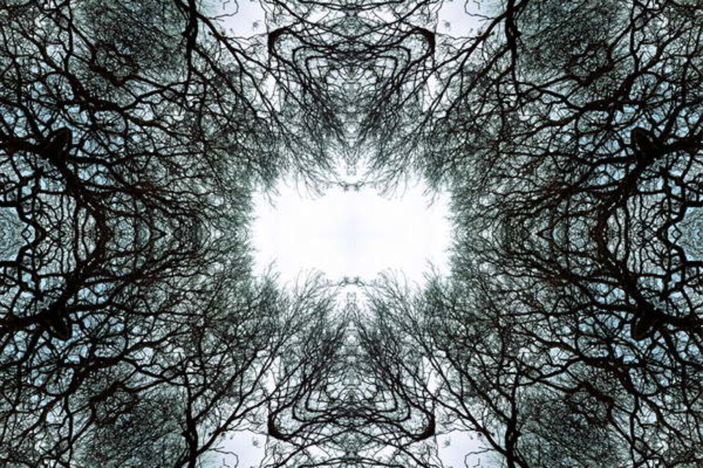 Detail of Unnatural 101 by Giovanni Cafagna