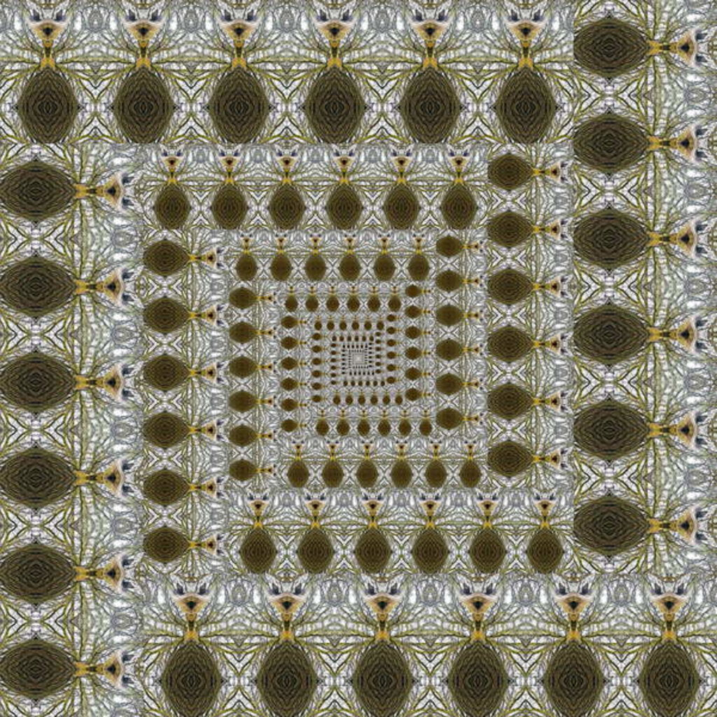Detail of Unnatural 105 by Giovanni Cafagna