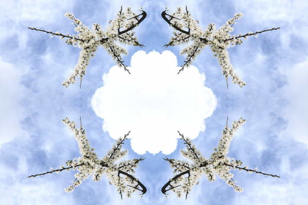 Detail of Unnatural 115 by Giovanni Cafagna