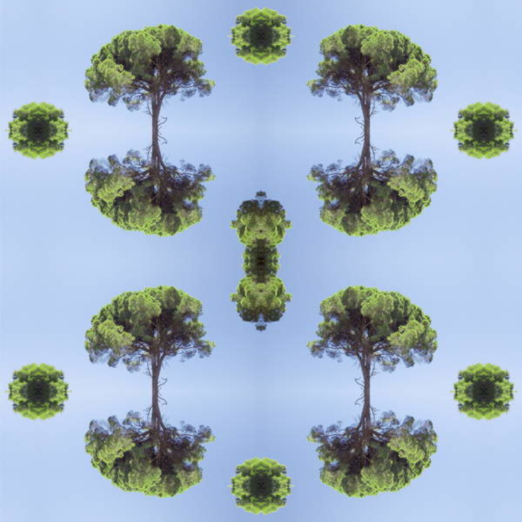 Detail of Unnatural 118 by Giovanni Cafagna