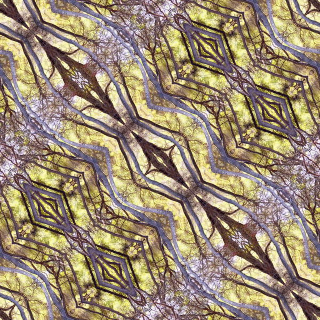 Detail of Unnatural 120.1 by Giovanni Cafagna