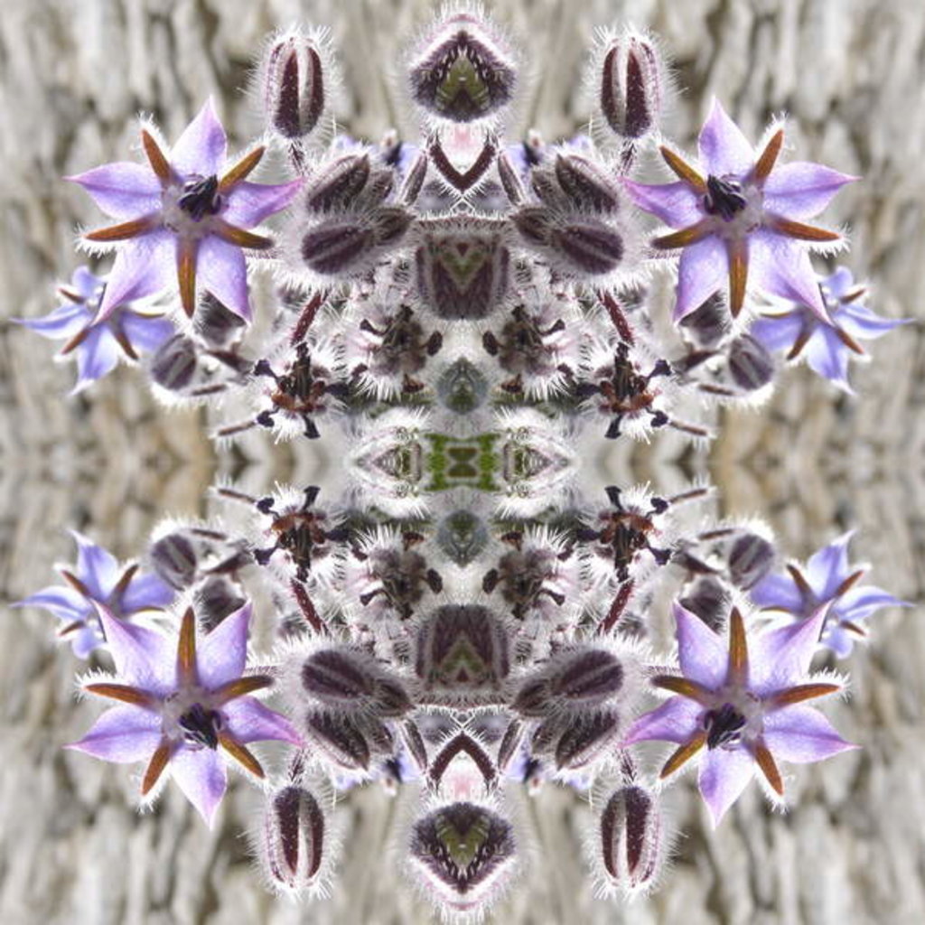 Detail of Unnatural 159 by Giovanni Cafagna