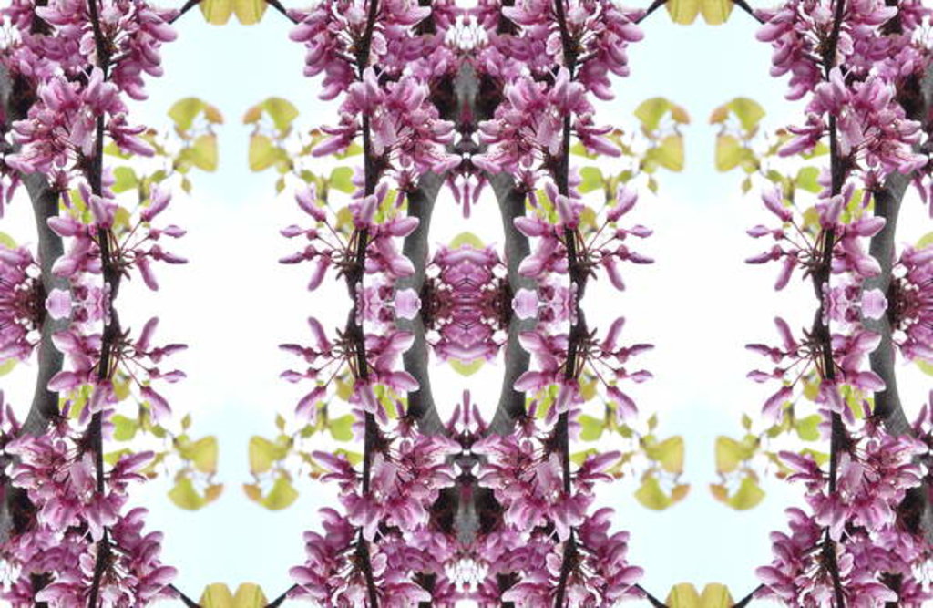 Detail of Unnatural 160.3 by Giovanni Cafagna