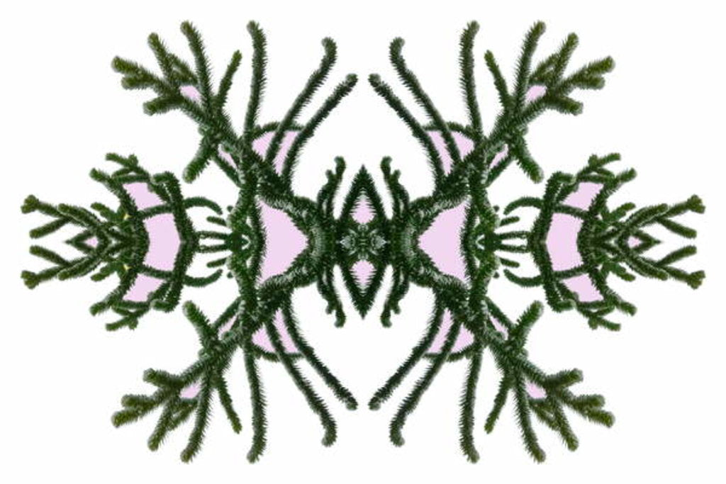 Detail of Unnatural 168 by Giovanni Cafagna