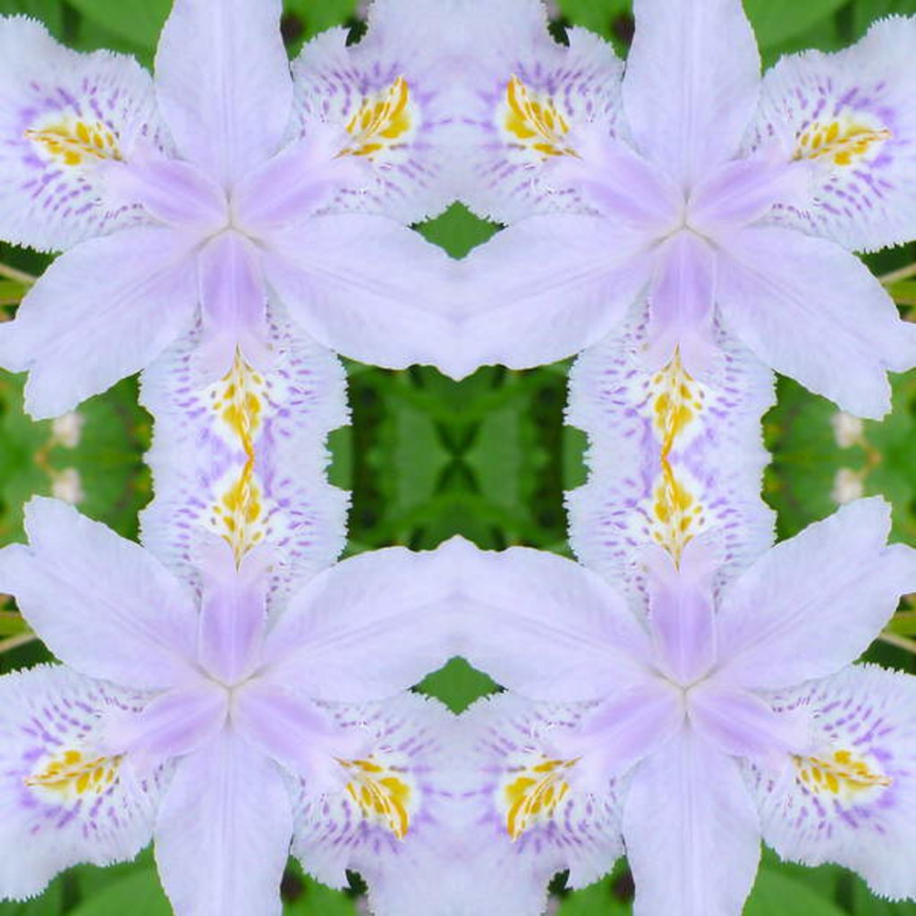 Detail of Unnatural 174 by Giovanni Cafagna