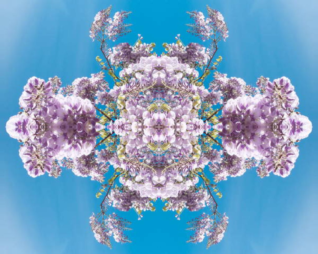 Detail of Unnatural 180 by Giovanni Cafagna