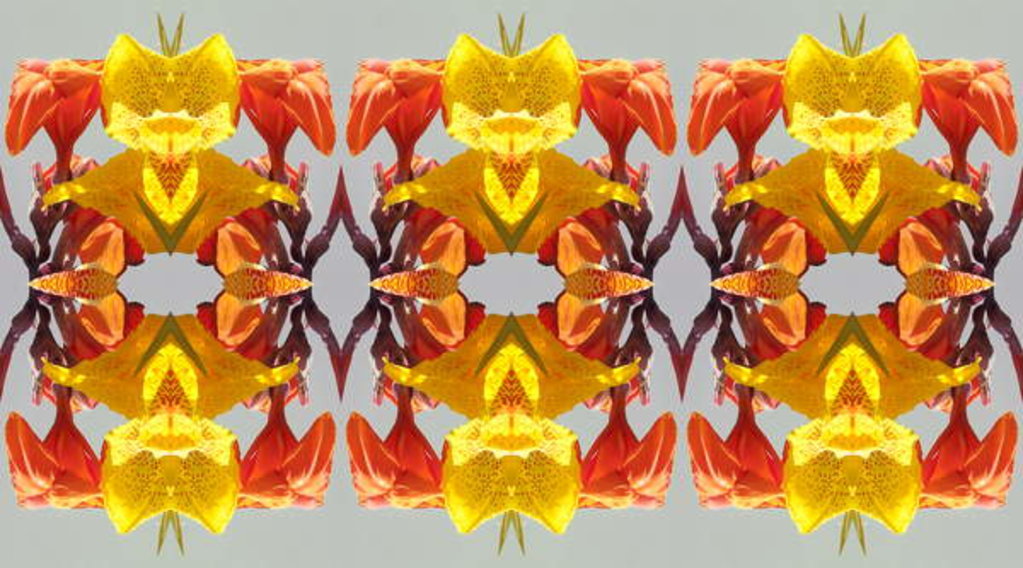 Detail of Unnatural 190 by Giovanni Cafagna