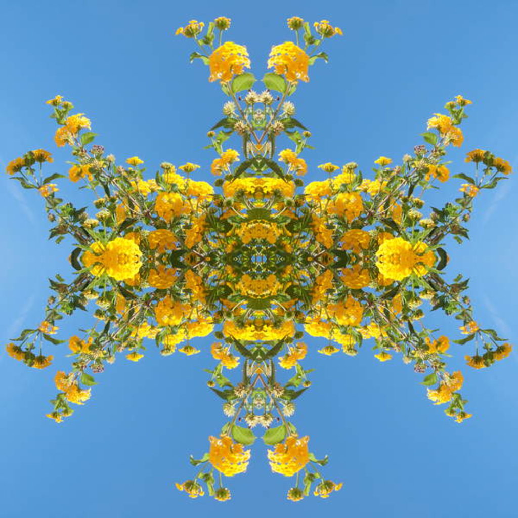 Detail of Unnatural 193 by Giovanni Cafagna