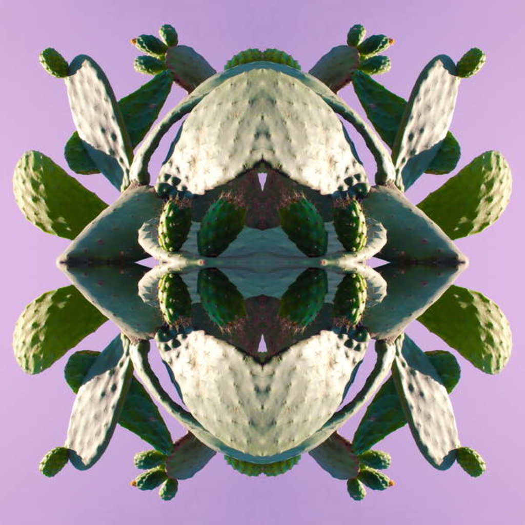 Detail of Unnatural 196 by Giovanni Cafagna