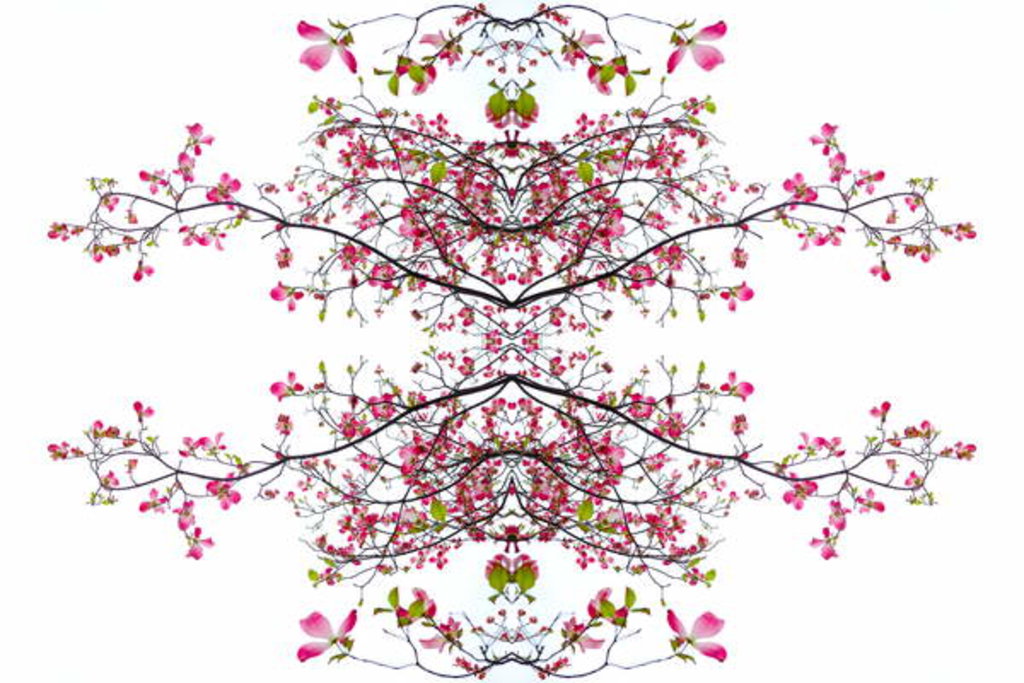 Detail of Unnatural 200 by Giovanni Cafagna