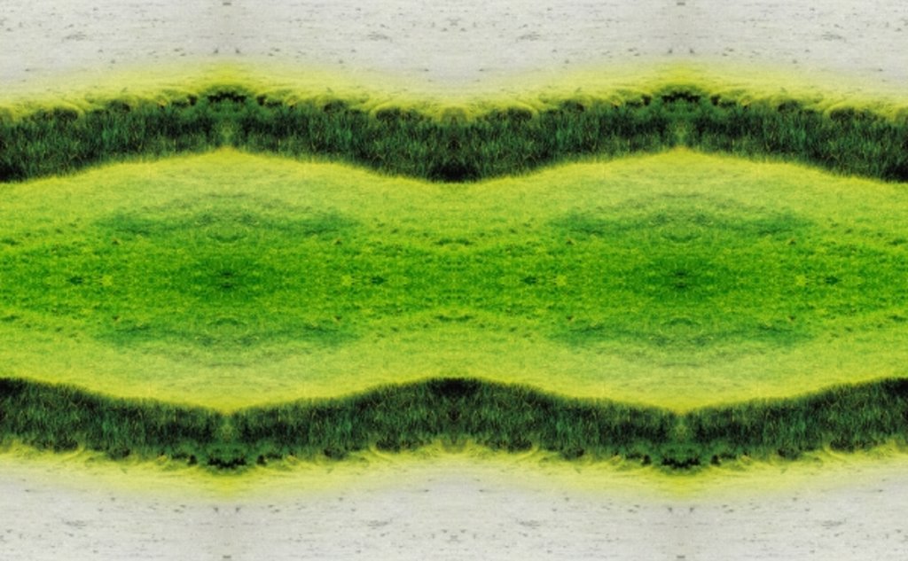 Detail of Unnatural 2.1 by Giovanni Cafagna