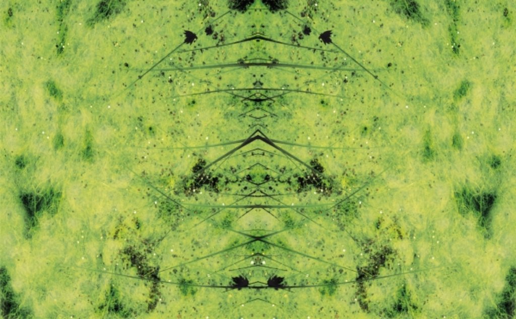 Detail of Unnatural 3 by Giovanni Cafagna