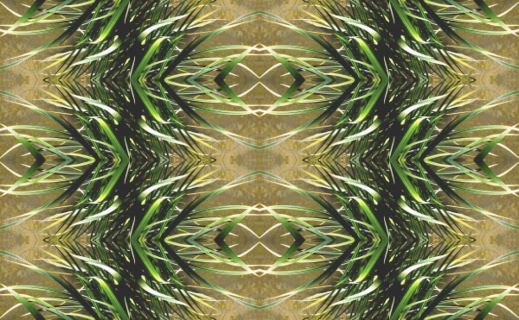 Detail of Unnatural 16 by Giovanni Cafagna