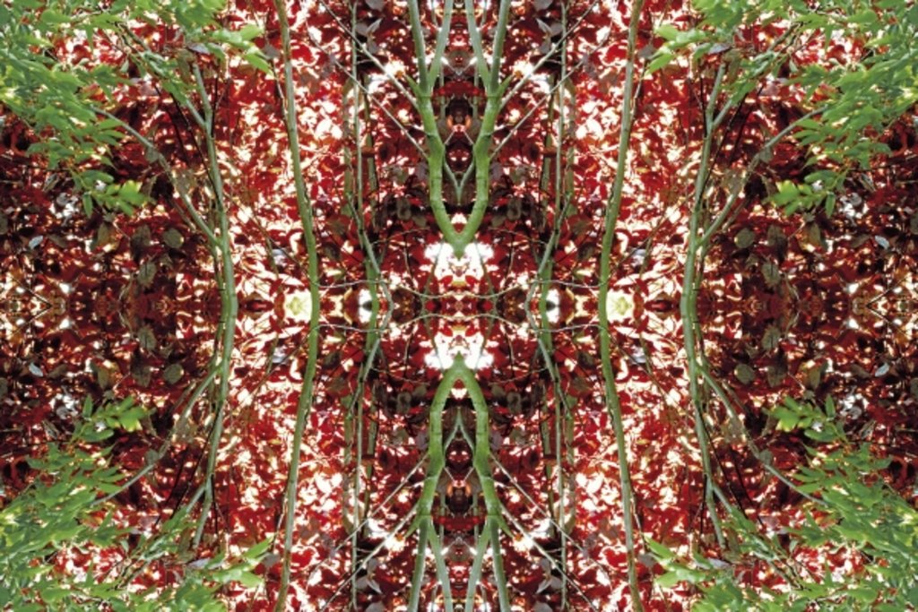 Detail of Unnatural 23 by Giovanni Cafagna