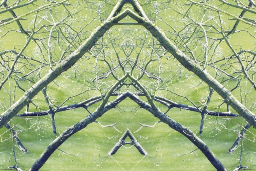 Detail of Unnatural 30 by Giovanni Cafagna