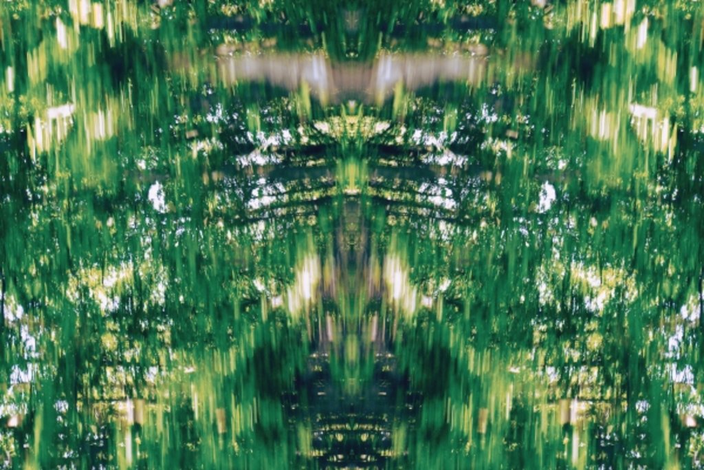 Detail of Unnatural 31 by Giovanni Cafagna