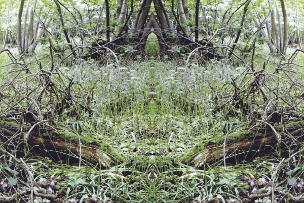 Detail of Unnatural 33 by Giovanni Cafagna