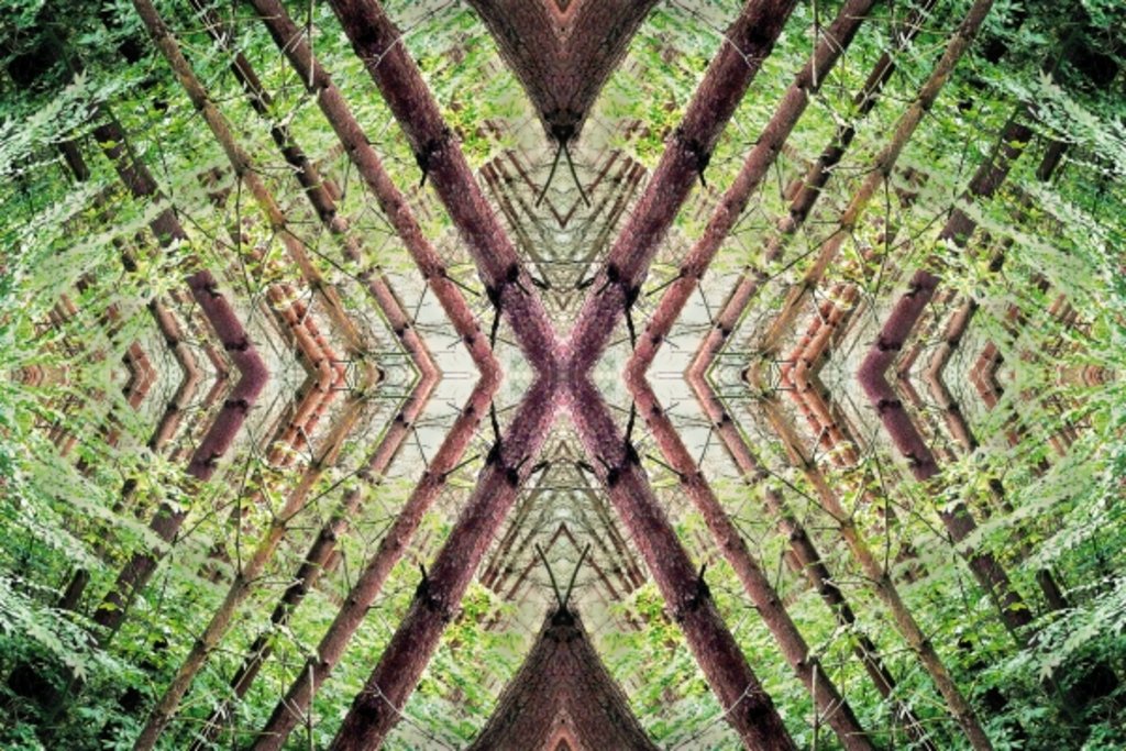 Detail of Unnatural 37 by Giovanni Cafagna