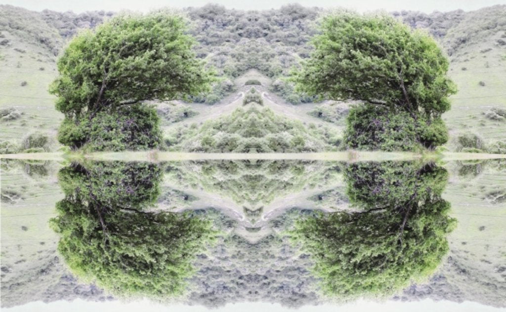 Detail of Unnatural 40 by Giovanni Cafagna