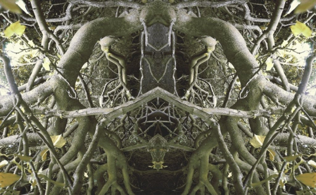 Detail of Unnatural 41 by Giovanni Cafagna