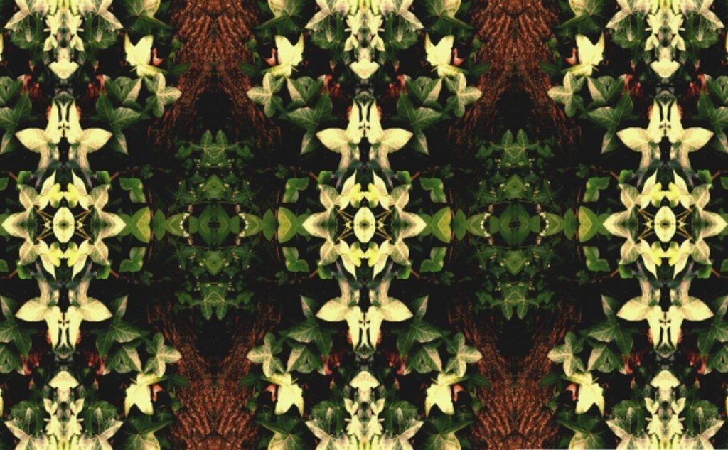 Detail of Unnatural 43 by Giovanni Cafagna