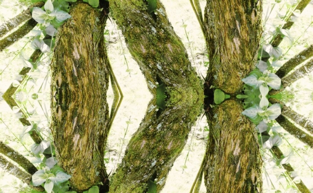 Detail of Unnatural 45 by Giovanni Cafagna