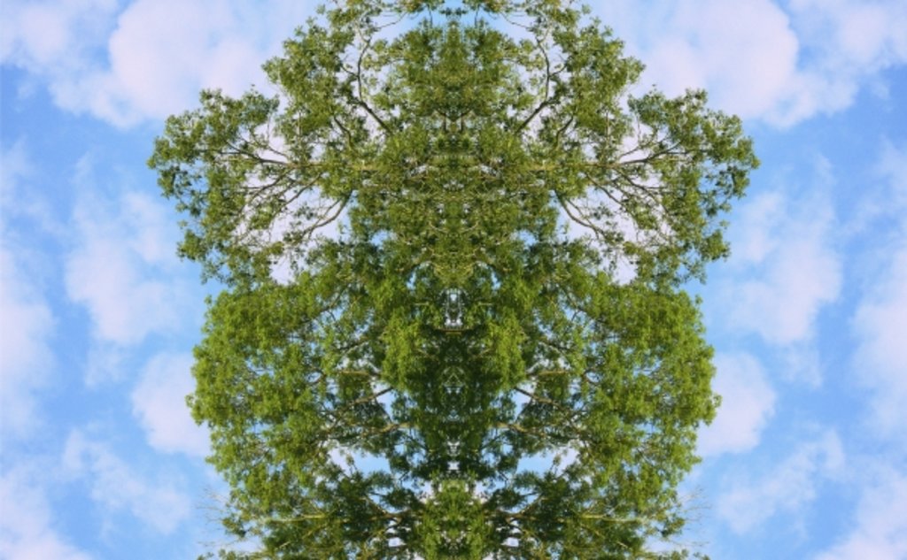 Detail of Unnatural 46 by Giovanni Cafagna