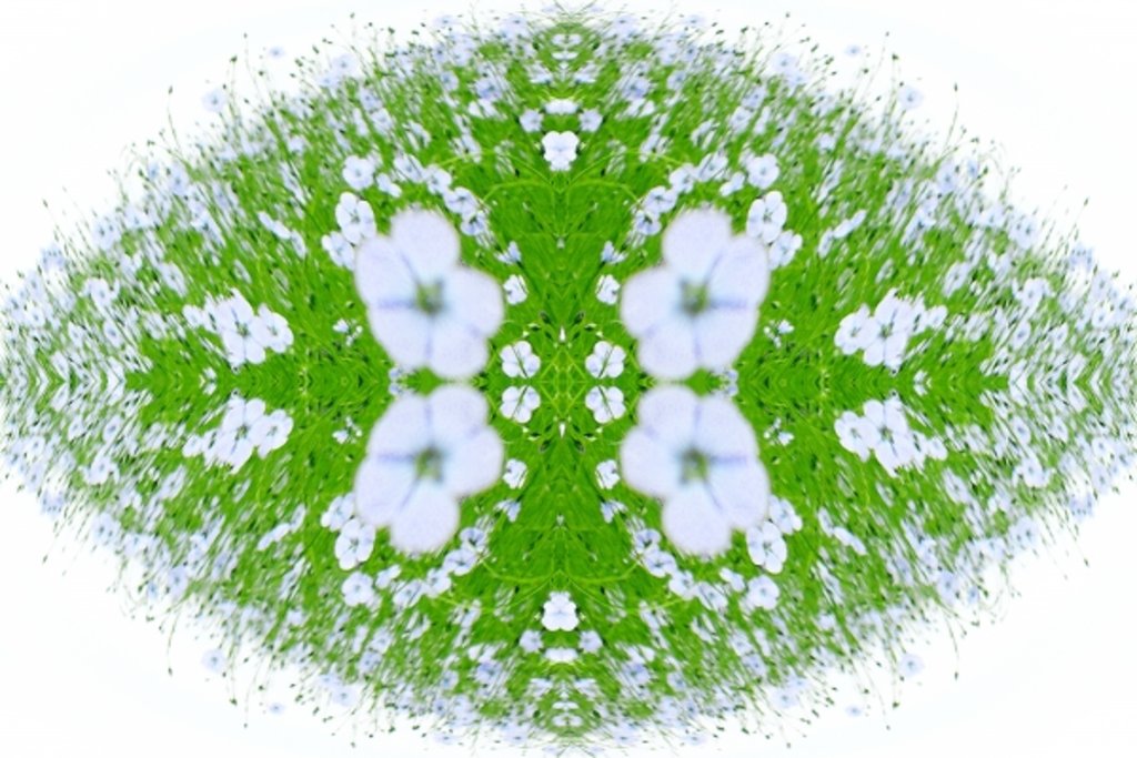 Detail of Unnatural 37 by Giovanni Cafagna