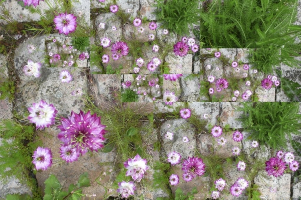 Detail of Unnatural 60 by Giovanni Cafagna