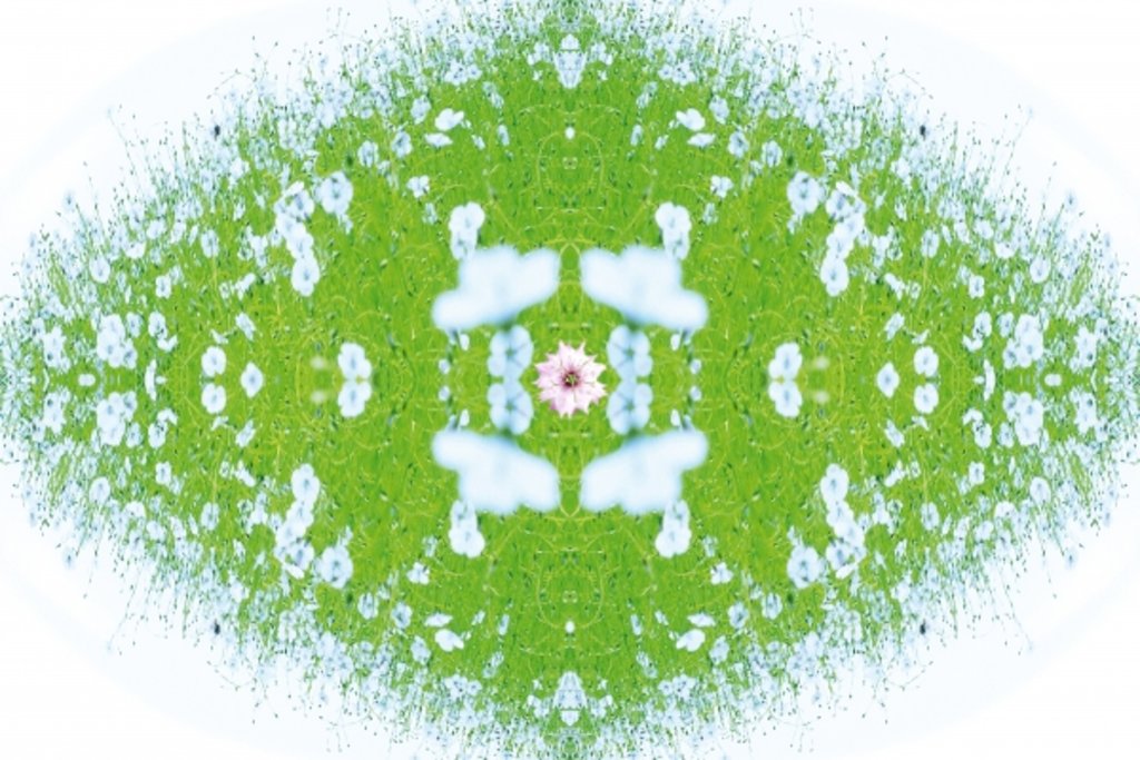 Detail of Unnatural 37 by Giovanni Cafagna