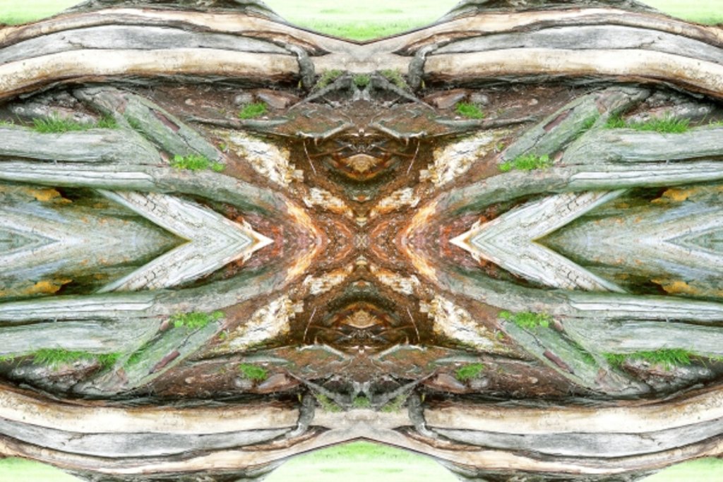 Detail of Unnatural 64 by Giovanni Cafagna