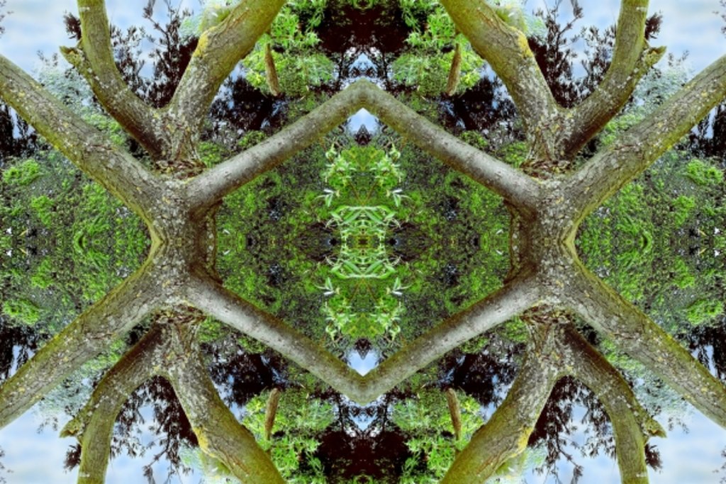 Detail of Unnatural 65.2 by Giovanni Cafagna