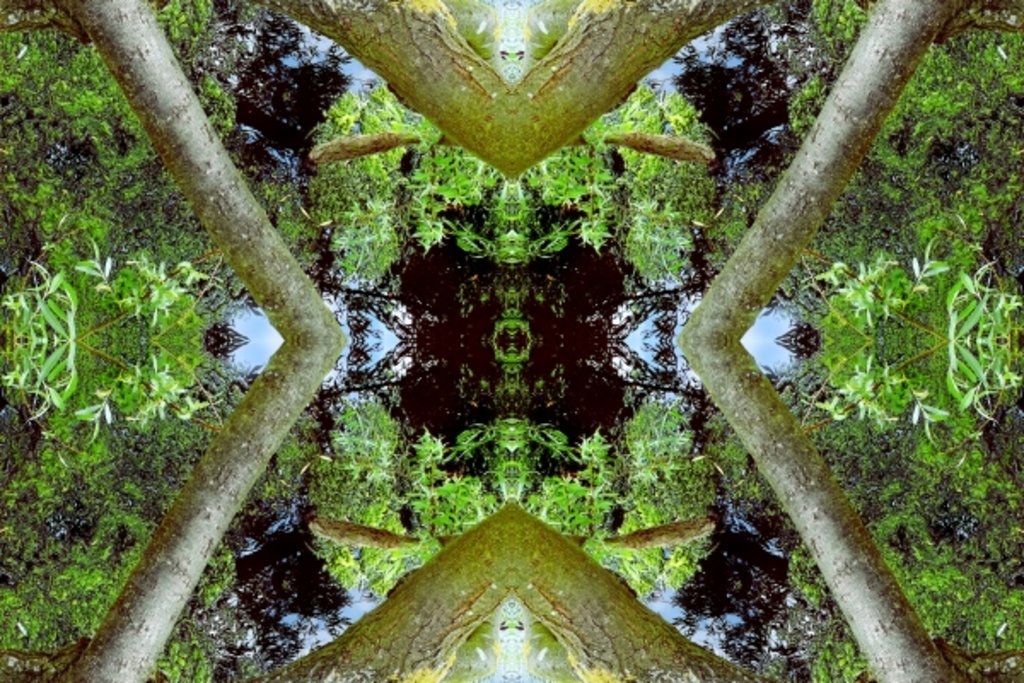 Detail of Unnatural 65.3 by Giovanni Cafagna