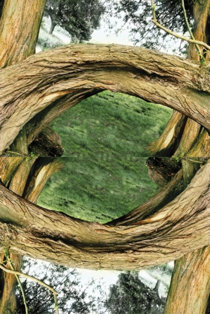 Detail of Unnatural 37 by Giovanni Cafagna