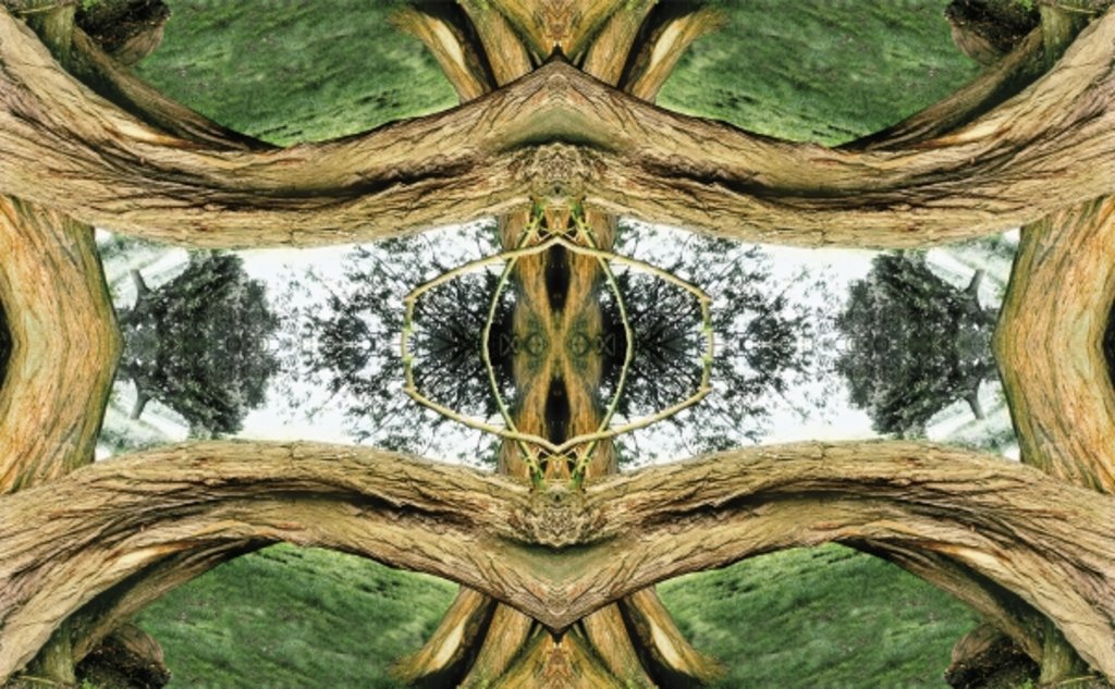 Detail of Unnatural 37 by Giovanni Cafagna