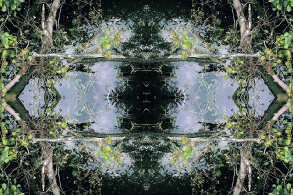 Detail of Unnatural 73 by Giovanni Cafagna