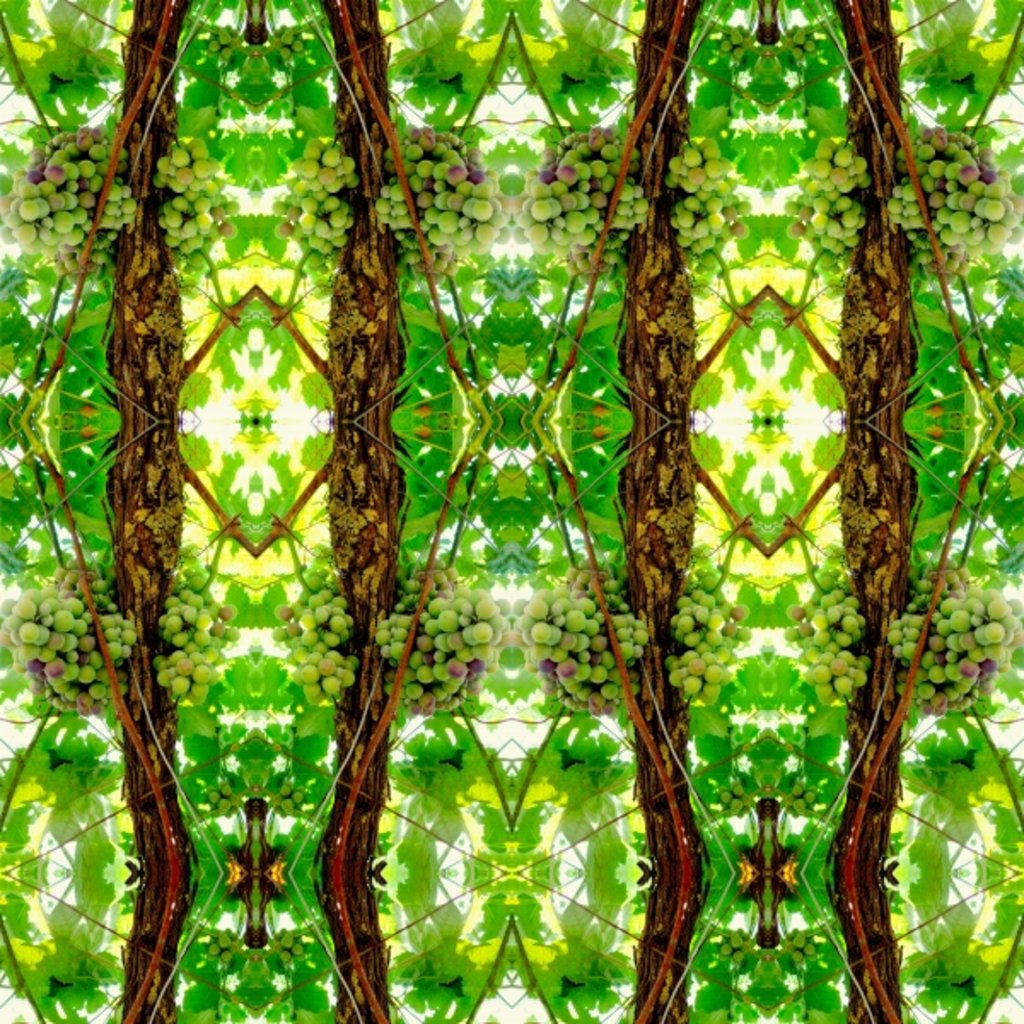 Detail of Unnatural 74 by Giovanni Cafagna