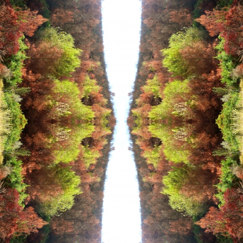 Detail of Unnatural 77 by Giovanni Cafagna