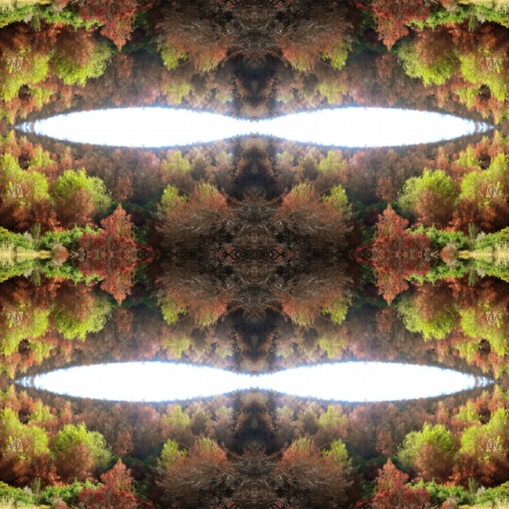 Detail of Unnatural 77.1 by Giovanni Cafagna