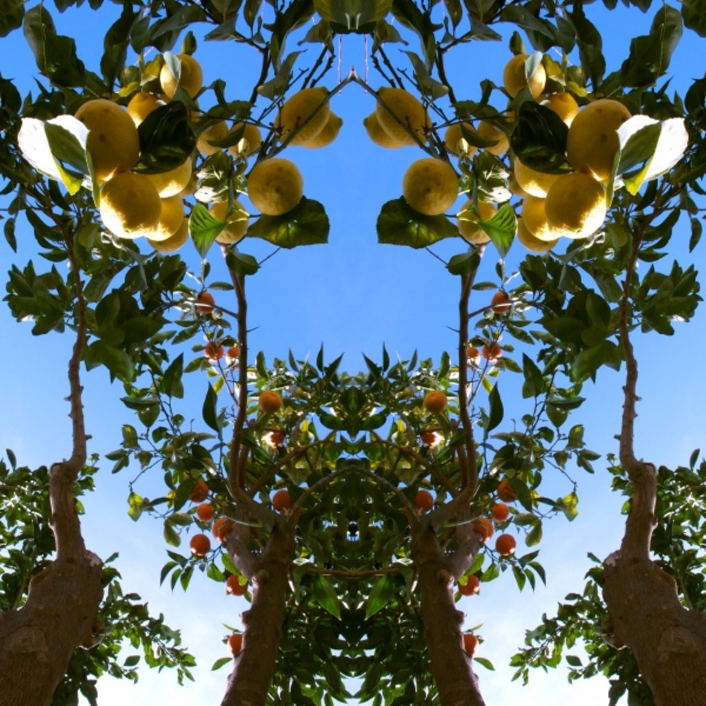 Detail of Unnatural 78 by Giovanni Cafagna