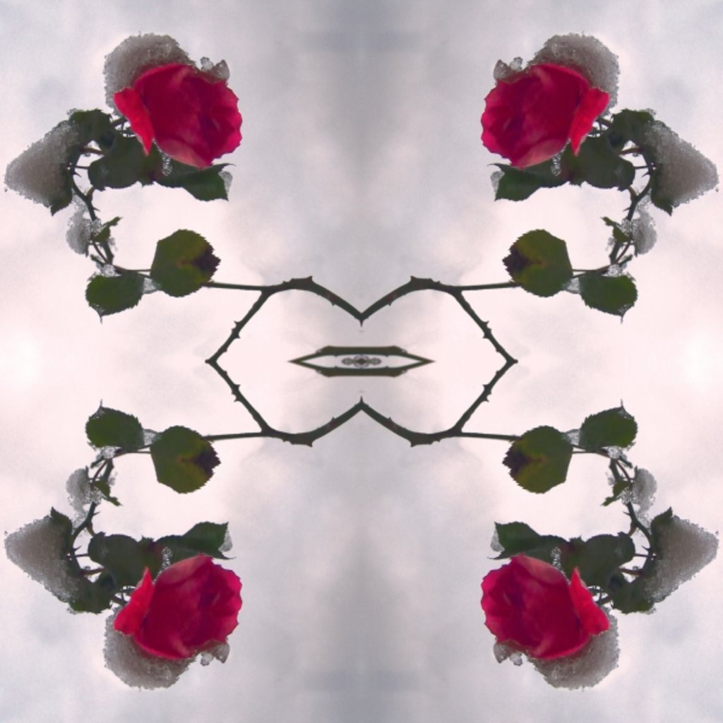 Detail of Unnatural 80 by Giovanni Cafagna