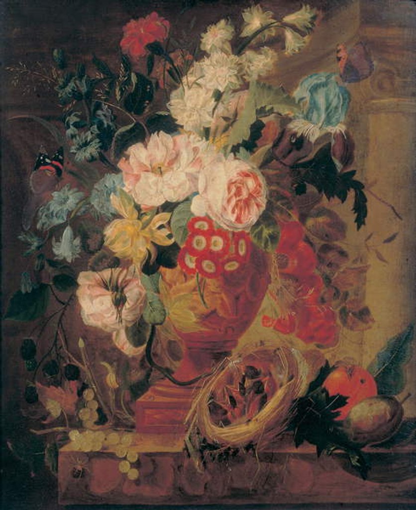 Detail of Flowers in a terracotta vase decorated with putti, with fruits, butterflies, a bluebottle, a snail, a spider and four chicks in a nest on a ledge by Jan Frans (circle of) Eliaerts