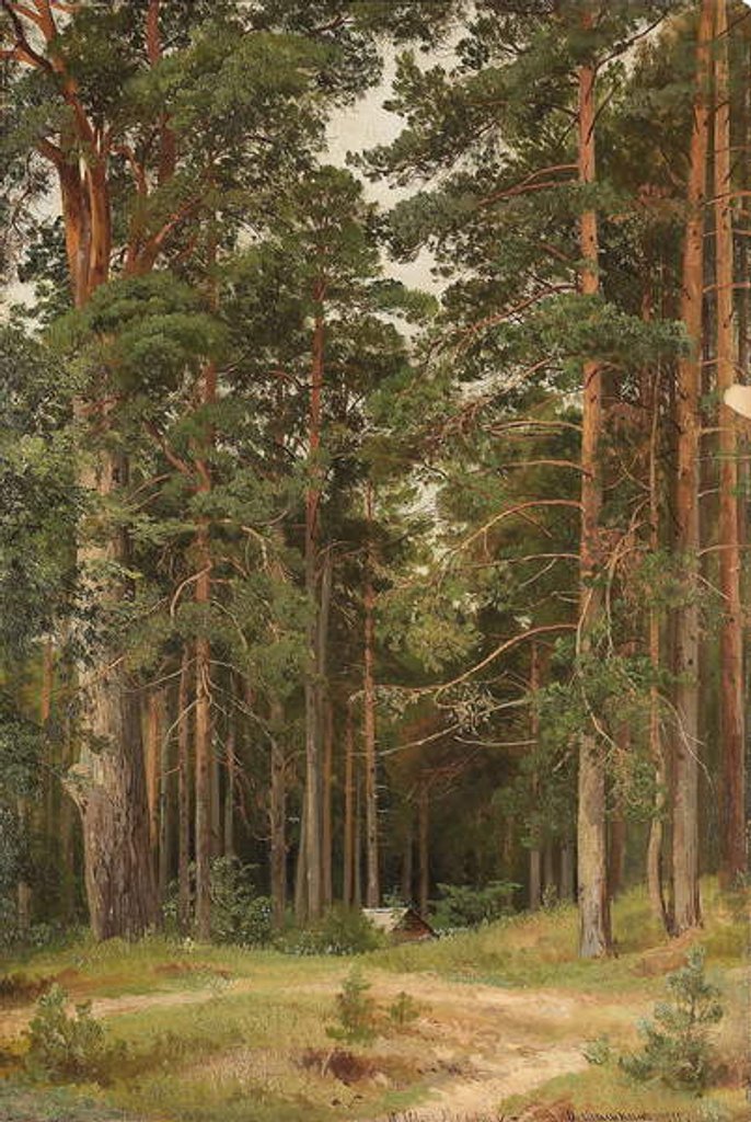 Detail of A Summer Day, Merikiul, 1895 by Ivan Ivanovich Shishkin