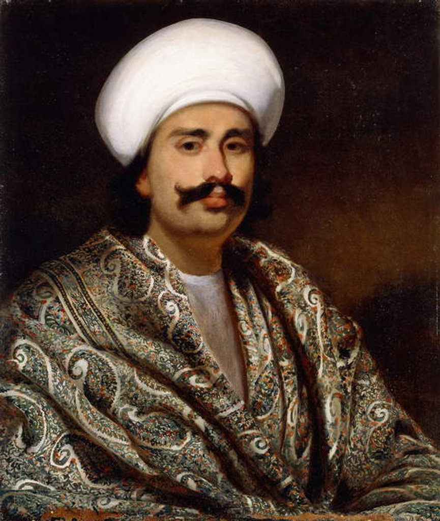 Detail of Portrait of a Nawab, c. 1856-62 by Benjamin Hudson
