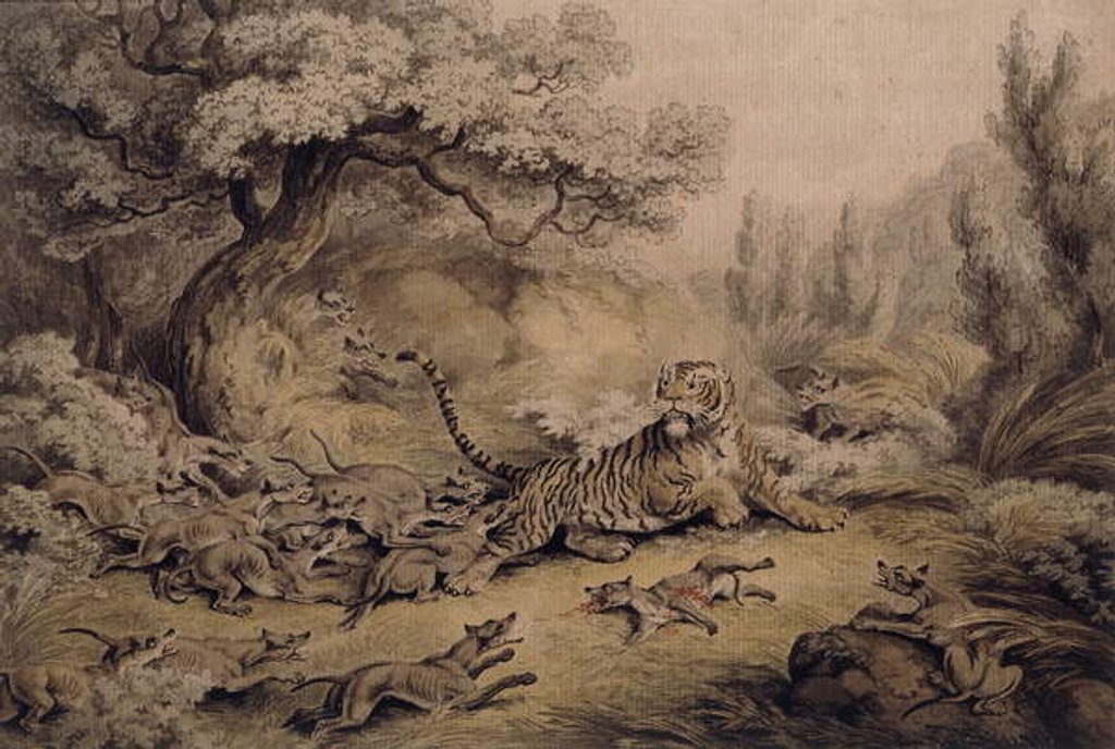 Detail of Wild Dogs Attacking a Tiger by Samuel Howitt