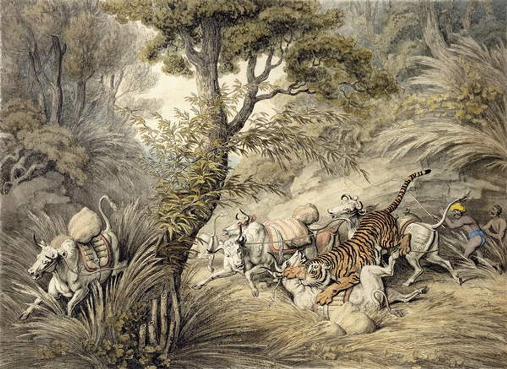 Detail of Tiger Attacking a Cattle Train by Samuel Howitt