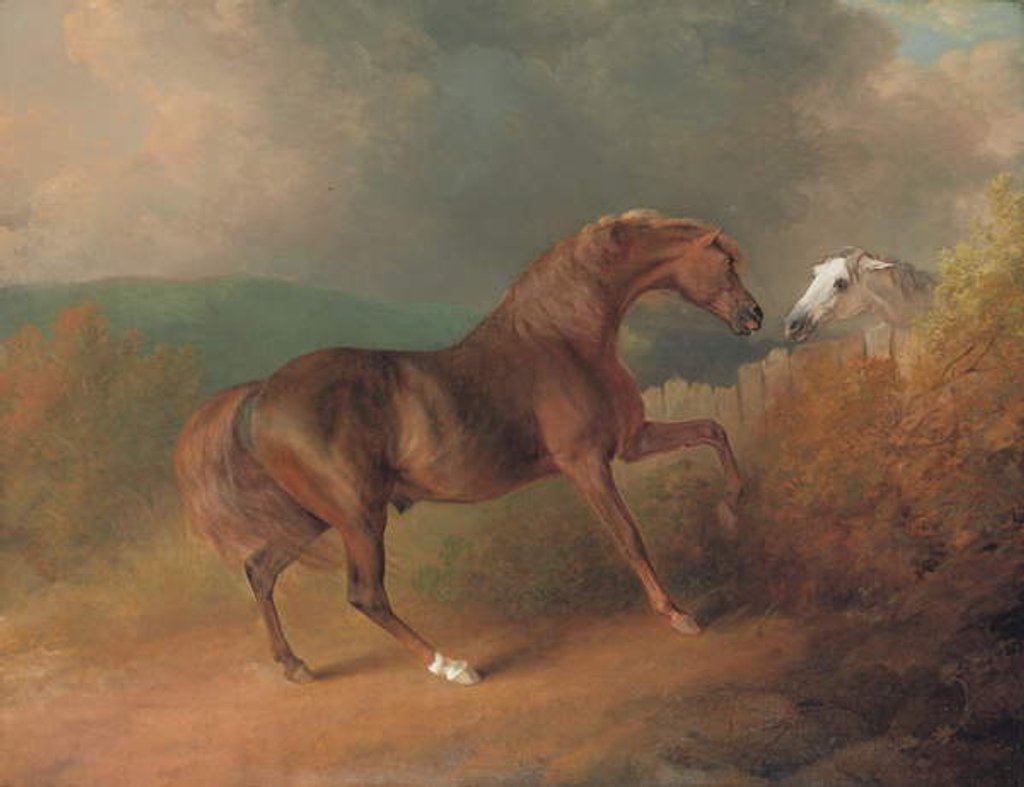 Detail of Colonel Thornton's Jupiter, by Eclipse out of a Mare by Tartar, by a Fence, with a Grey Mare, at Thornville Royal, 1792 by Sawrey Gilpin