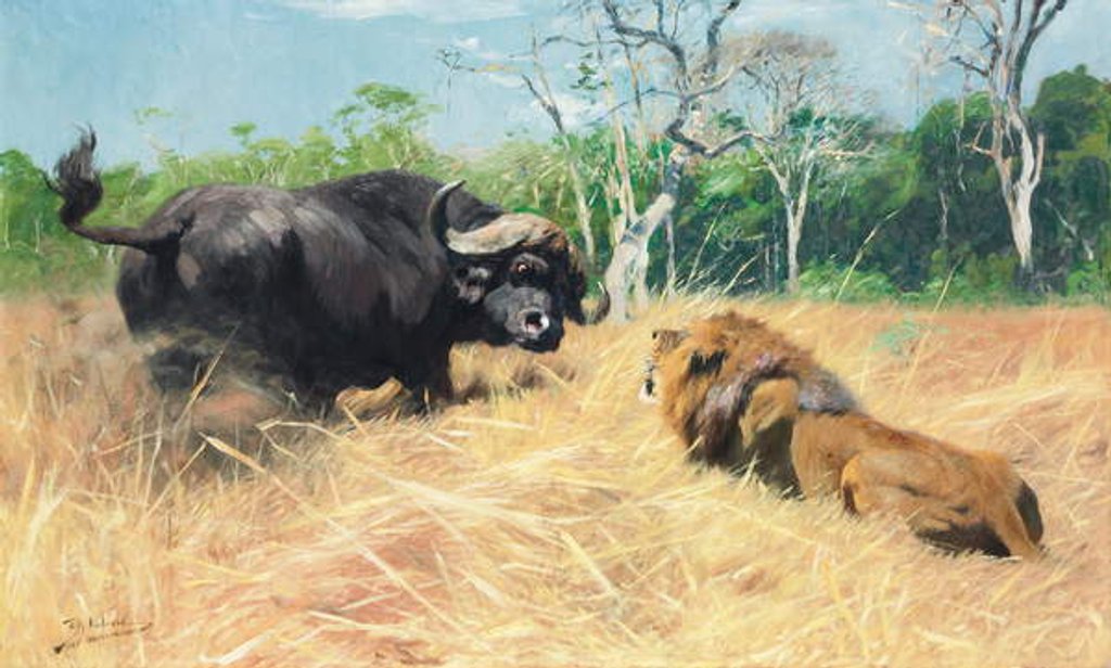 Detail of Buffalo and Lion Before the Fight by Wilhelm Kuhnert