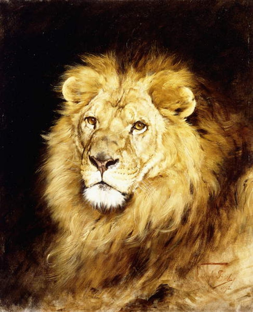 Detail of The Head of a Lion, by Geza Vastagh